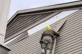 Best Custom Trim and Detailing for Siding  in Plover, WI